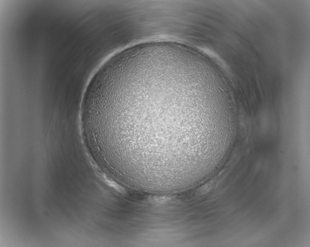 X0000075401278200609251009