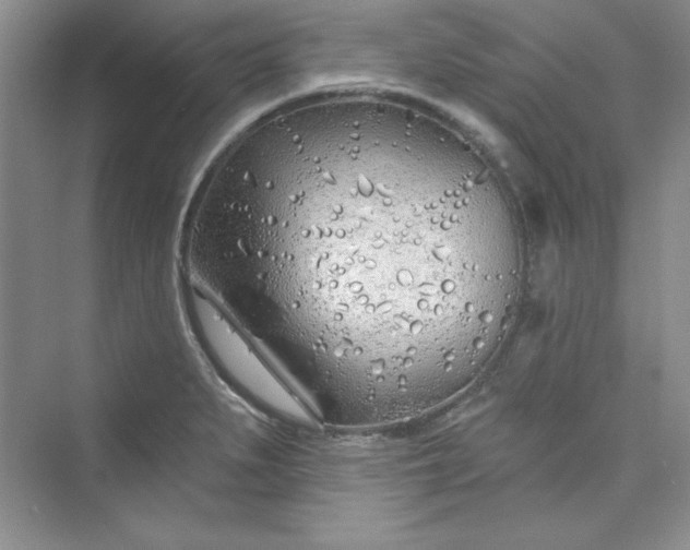 X0000075401279200609251009