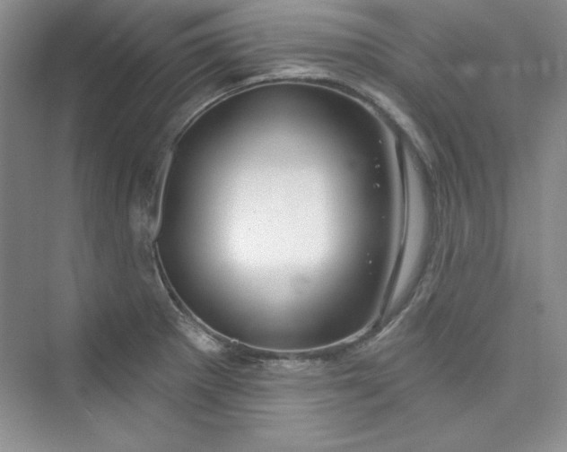 X0000075401281200609251009