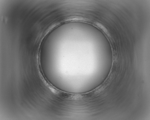 X0000075401282200609251009