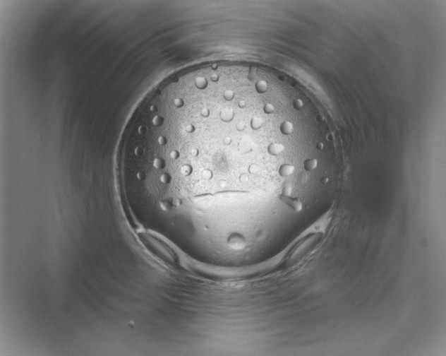 X0000075401283200609251009