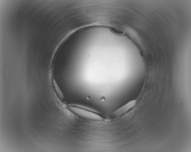 X0000075401284200609251009