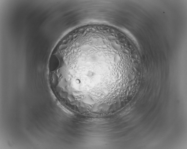 X0000075401287200609251009