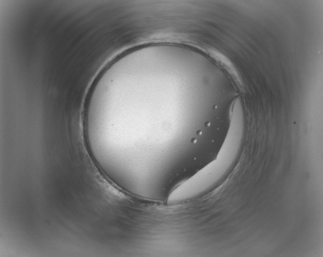 X0000075401288200609251009