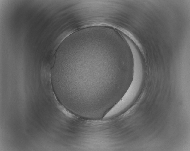 X0000075401289200609251009