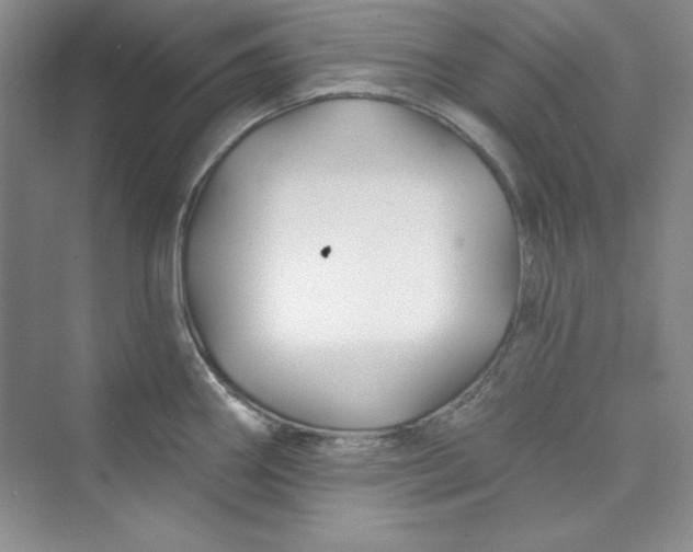 X0000075401290200609251009