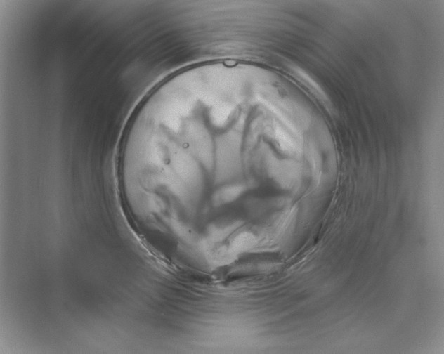 X0000075401291200609251009