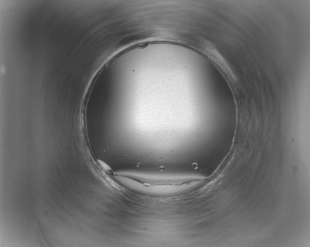 X0000075401292200609251008