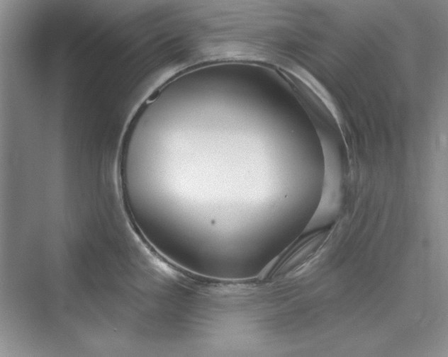 X0000075401293200609251008