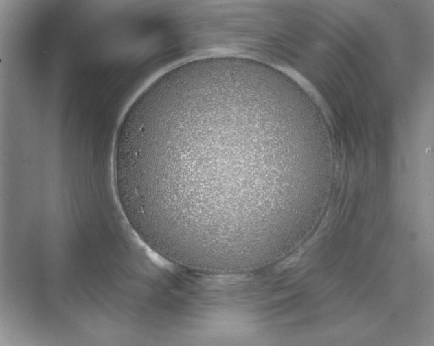 X0000075401294200609251008