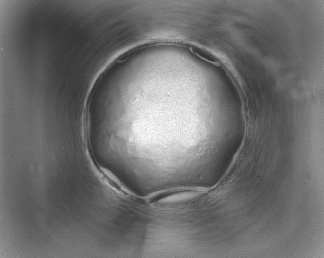 X0000075401295200609251008