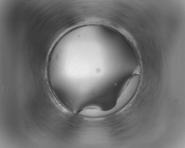 X0000075401296200609251008