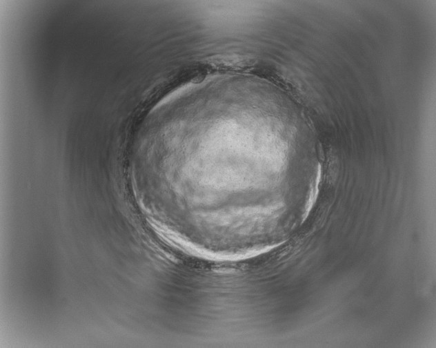 X0000075401297200609251008