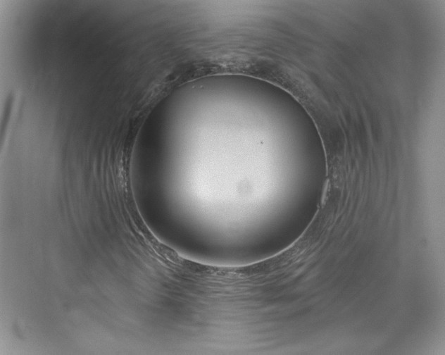 X0000075401298200609251008