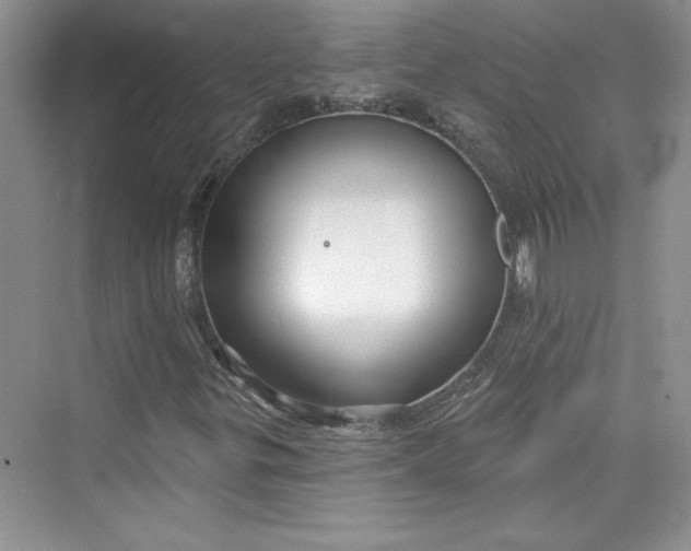 X0000075401299200609251008