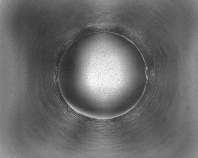 X0000075401300200609251008