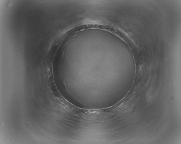 X0000075401303200609251008