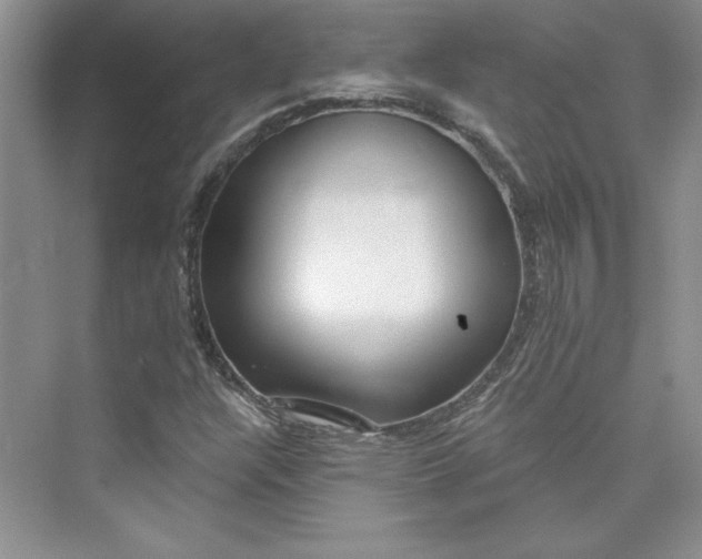 X0000075401304200609251008