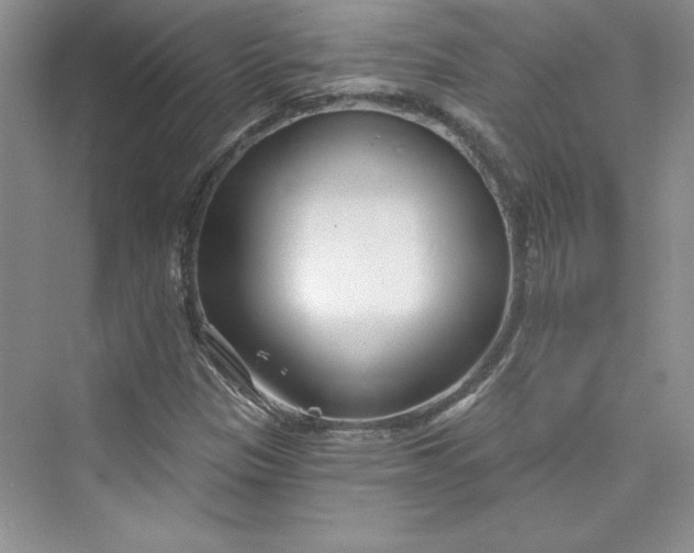 X0000075401305200609251008