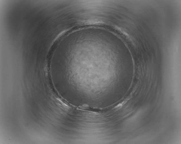 X0000075401306200609251008