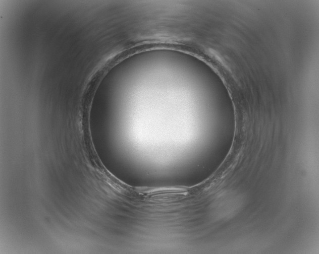 X0000075401307200609251008