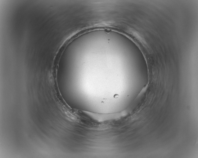 X0000075401308200609251008