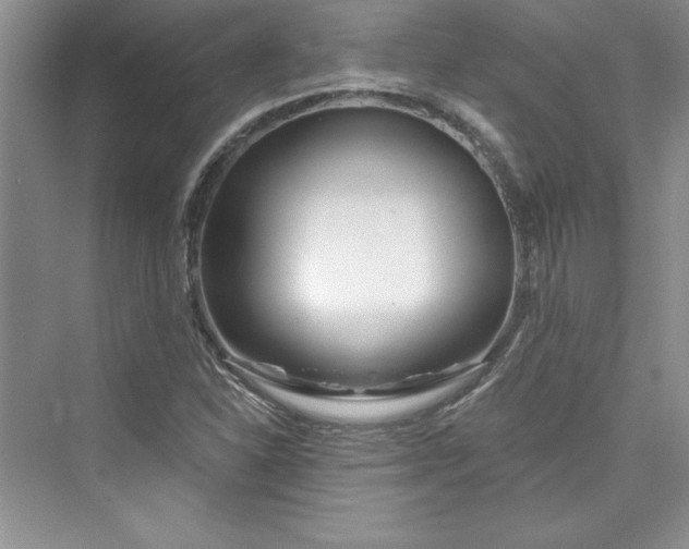 X0000075401310200609251008