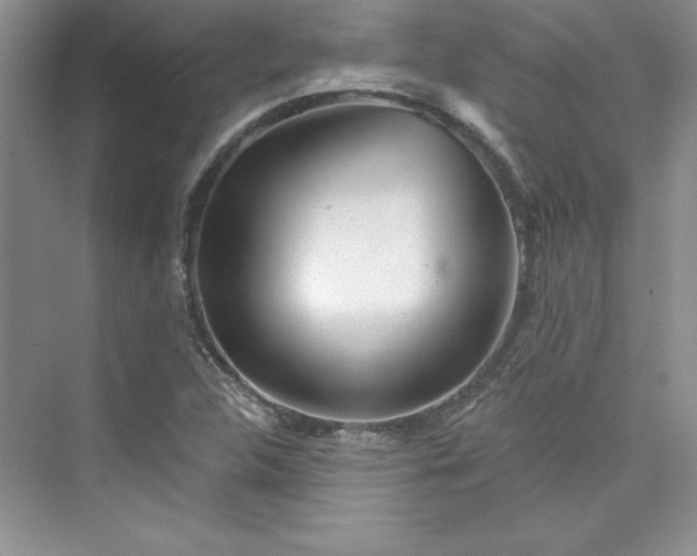 X0000075401312200609251008