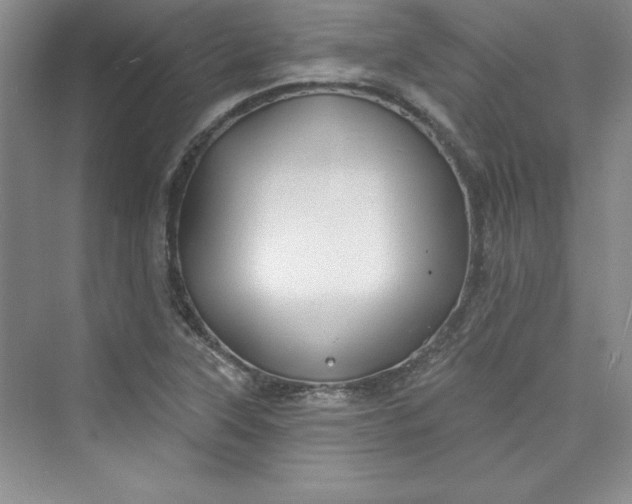 X0000075401315200609251008