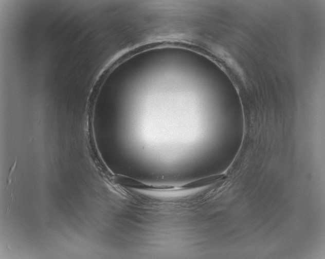 X0000075401316200609251008