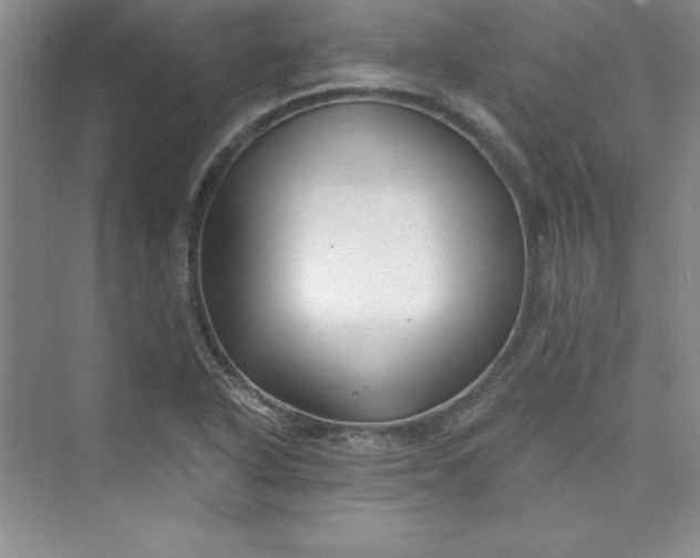 X0000075401318200609251008