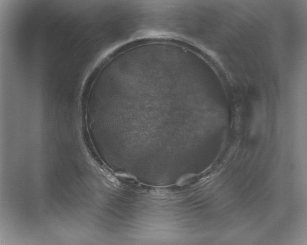 X0000075401319200609251008