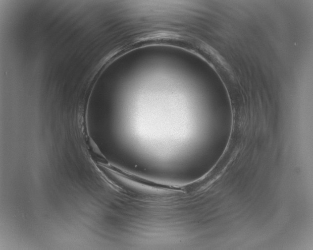 X0000075401321200609251008