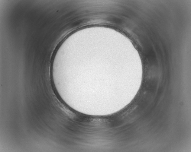 X0000075401322200609251008