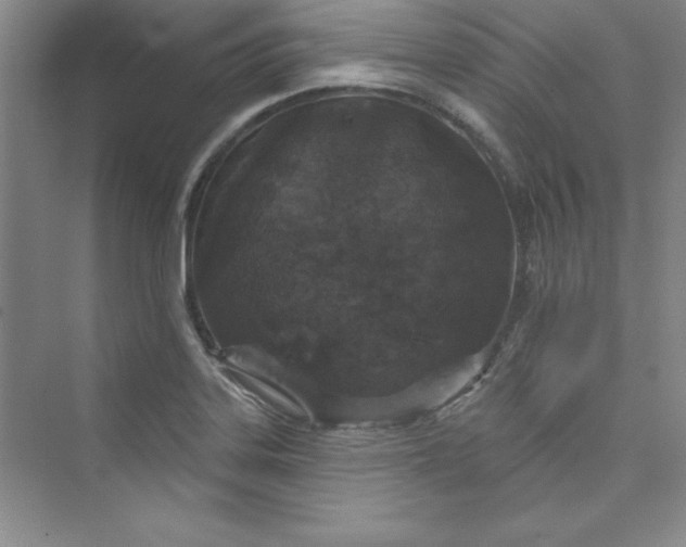 X0000075401323200609251008