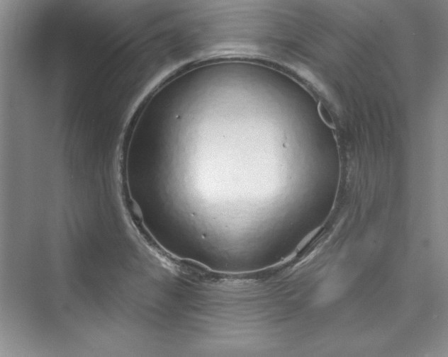 X0000075401325200609251008