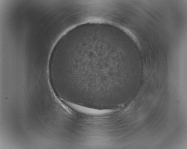 X0000075401327200609251008