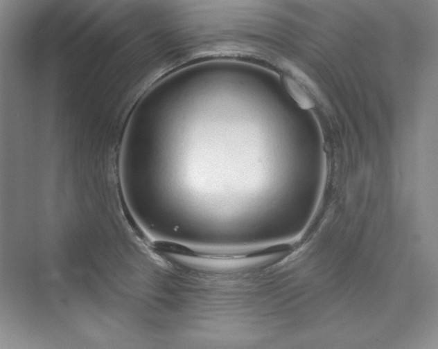 X0000075401329200609251008