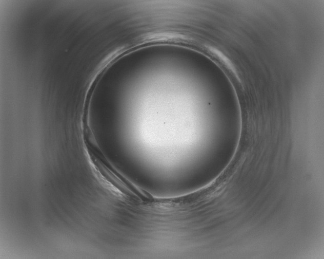 X0000075401330200609251008