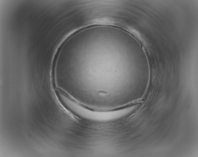 X0000075401331200609251008