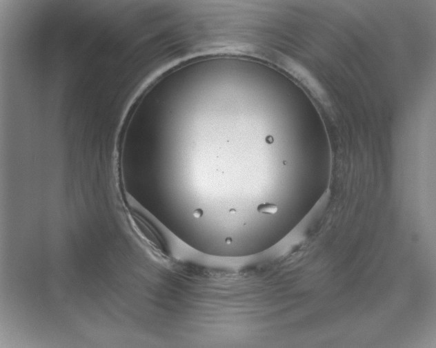 X0000075401332200609251008