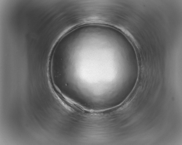 X0000075401333200609251008