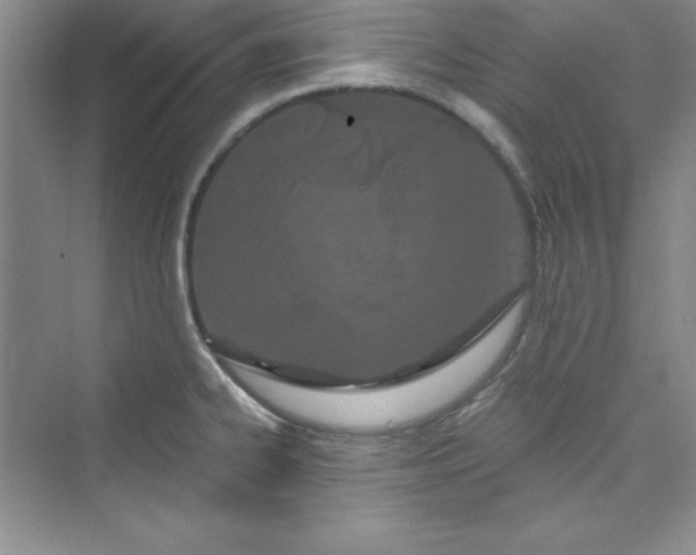 X0000075401334200609251008