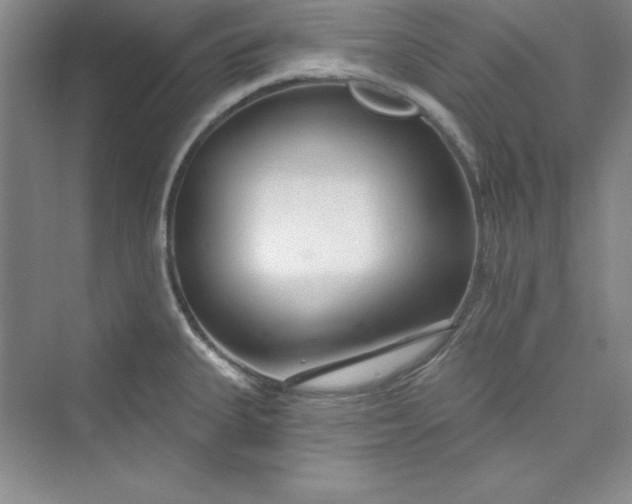 X0000075401335200609251008