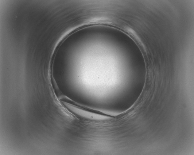 X0000075401336200609251008