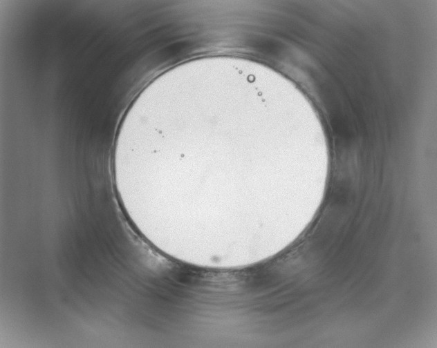 X0000075401338200609251008