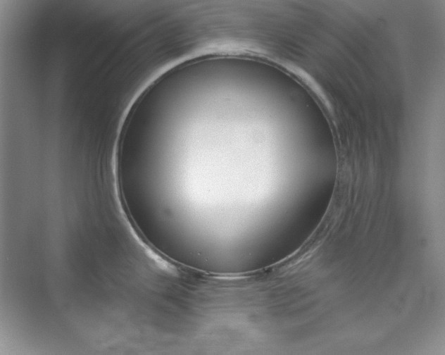 X0000075401343200609251008