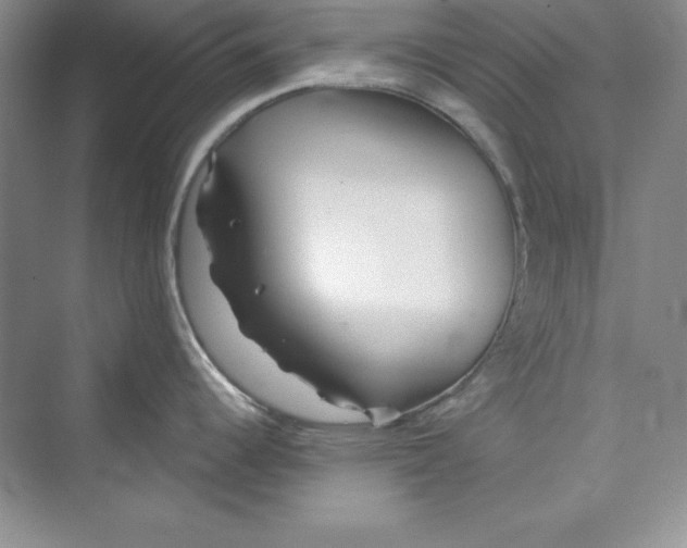 X0000075401344200609251008