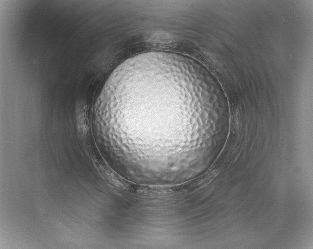 X0000075401346200609251008