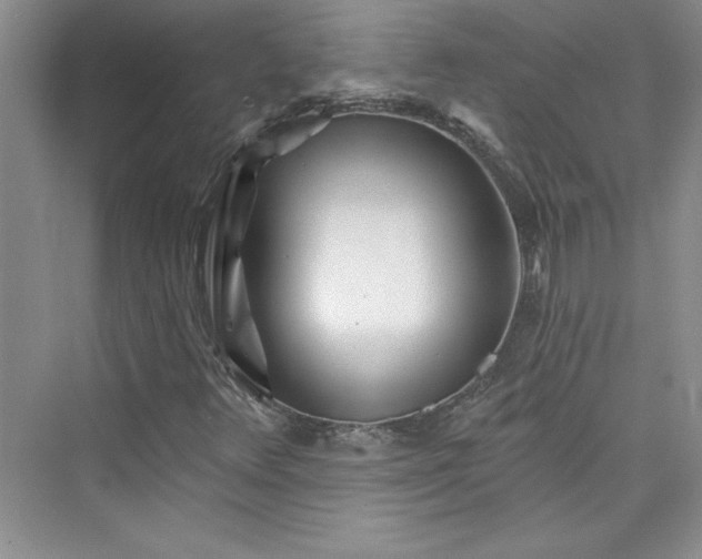 X0000075401348200609251008